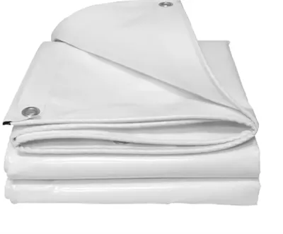 Bisakah membran ETFE digunakan di arena olahraga?